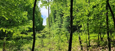 TBD Maple Run, Fairmont, WV 26554 - photo 7