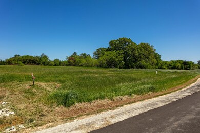 0 Brazos Way, Caldwell, TX 77836 - photo 4