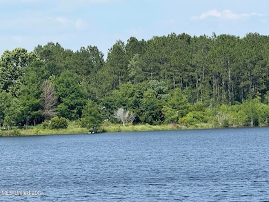 0 Sunfish Cove unit 4115604, Perkinston, MS 39573 - photo 2