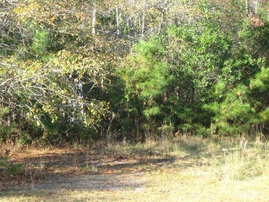 1604 Canady Rd, Wilmington, NC 28411 - photo 2