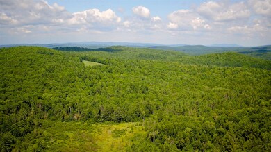 0 Turkey Hill Rd unit 4808331, Newport, NH 03773 - photo 5