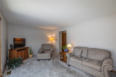 1132 N Carpenter Rd, Brunswick, OH 44212 - photo 4