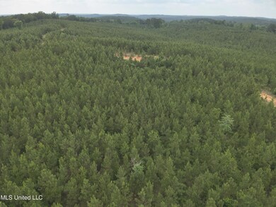 DJI_20230524154406_0005_V