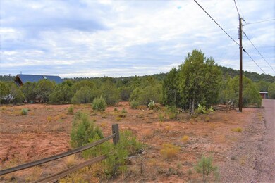 1087 S Palomino Place, Payson, AZ 85541 - photo 4