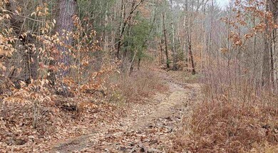 00 Scotland Rd, Winchester, NH 03470 - photo 5