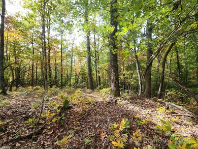 99999 N Pointe Dr unit 2, Zirconia, NC 28790 - photo 3