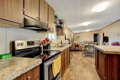 203 Roelke Dr, Knollwood, TX 75092 - photo 4