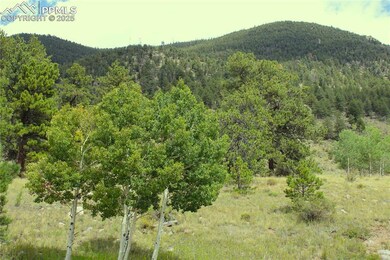 0 W Highway 24 Hwy unit 3329000, Lake George, CO 80827 - photo 3