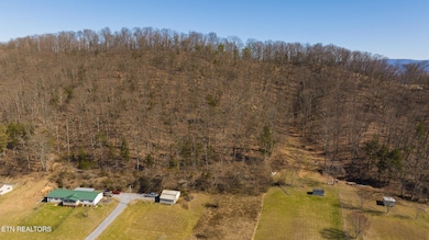 13 Edens Rd, Tusculum, TN 37745 - photo 7