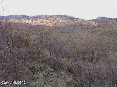 0000 E Marsh Station Rd, Vail, AZ 85641 - photo 6