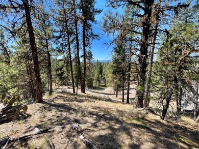 0 Tbd 1-3 Horsethief Rd, Cascade, ID 83611 - photo 4