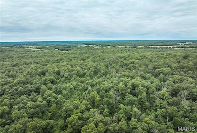 29405 Highway 63, Edgar Springs, MO 65462 - photo 6