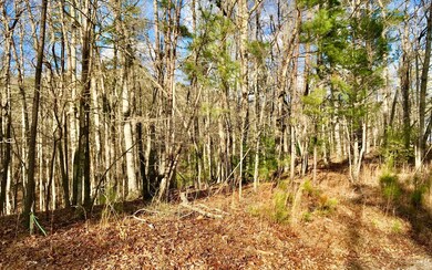 Additional View