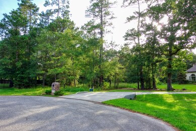 28607 Laurens Landing, Spring, TX 77386 - photo 5