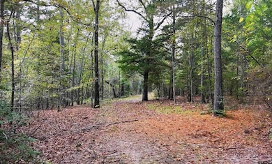 17278 N Highway 69, Tyler, TX 75703 - photo 6