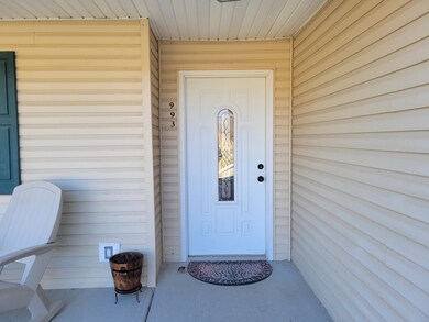 993 E Niagara Trail, Greensburg, IN 47240 - photo 4