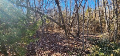 12 Cheddar Dr, Bella Vista, AR 72715 - photo 6