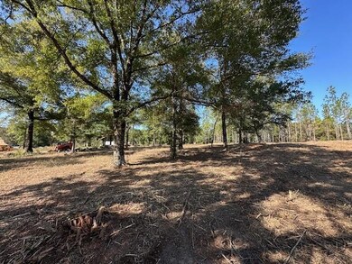 0 Hampton Rd unit 7597551, Mobile, AL 36608 - photo 7