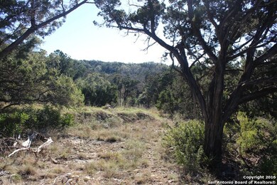 19415 Terra Mont, San Antonio, TX 78255 - photo 6