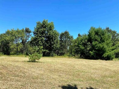 Lot 1 and 2 N Front St, Coloma, WI 54930 - photo 4