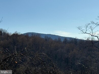 34 Beyond Tomorrow Way, Skyland Estates, VA 22642 - photo 2