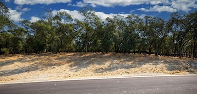 6829 Western Sierra Way, El Dorado Hills, CA 95762 - photo 4