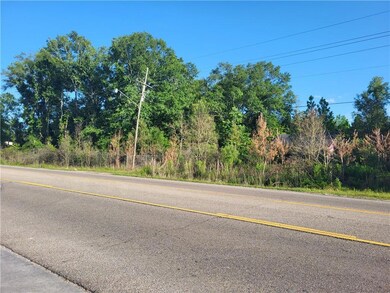 9.88 acres U S Highway 190, Hammond, LA 70401 - photo 6