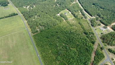 Tbd Mulberry Rd, Barnwell, SC 29812 - photo 6