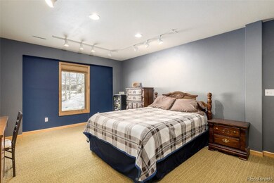 Lower level bedroom