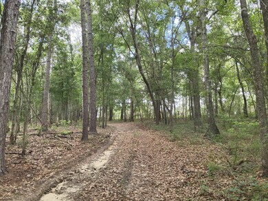 tbd County Line Rd, Pelham, GA 31779 - photo 7