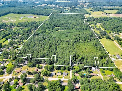 10114 C R 272, Tyler, TX 75707 - photo 5