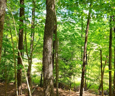 5.23acs Burgess Gap Rd, Morganton, GA 30560 - photo 6