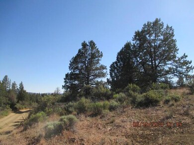 0 Little Fawn Dr unit 10, Chiloquin, OR 97624 - photo 3