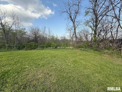 11428 N Boulder Creek Ct, Dunlap, IL 61525 - photo 2