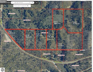 Lot #3 E Bellinger Rd, Cedar, MI 49621 - photo 4