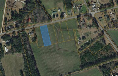 TBD 2 S Carolina 366 unit Lot 2, Conway, SC 29526 - photo 3