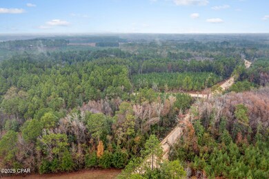 XXX White Rd unit 1.14 Acres, Chipley, FL 32428 - photo 6