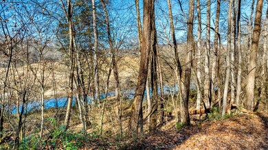 300 River Mist Ln, Franklin, NC 28734 - photo 6