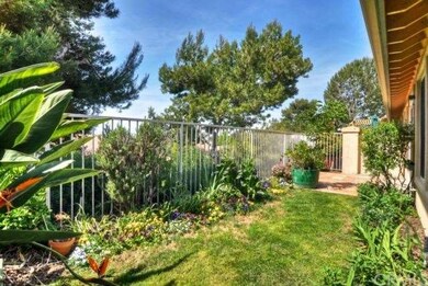 Back yard.  Top of community, view of city lights 