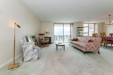 Imperial Towers unit 813, Chestnut Hill, MA 02467 - photo 4