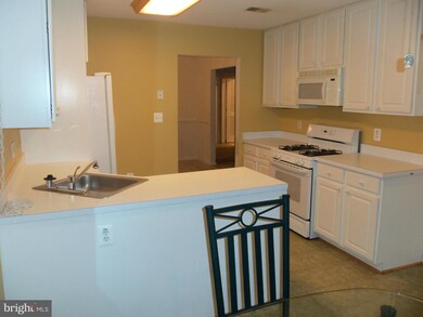 4550 Chaucer Way unit 106, Owings Mills, MD 21117 - photo 6