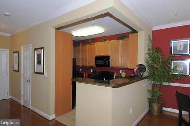 6161 Willow Place unit 208, Bealeton, VA 22712 - photo 6