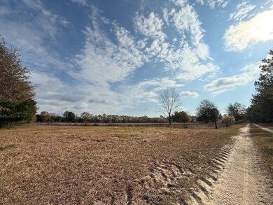 Sc Hwy 39 unit LotWP002, Williston, SC 29853 - photo 7