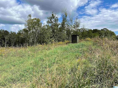 0 Sweatt Rd unit 21398227, Steele, AL 35987 - photo 6