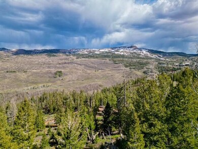 DJI_0559