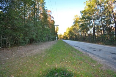 00 Little John Cir, Hockley, TX 77447 - photo 2