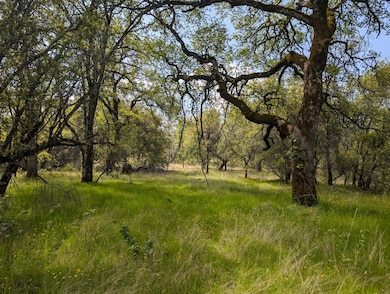 14677 Begonia Way, Oregon House, CA 95962 - photo 6