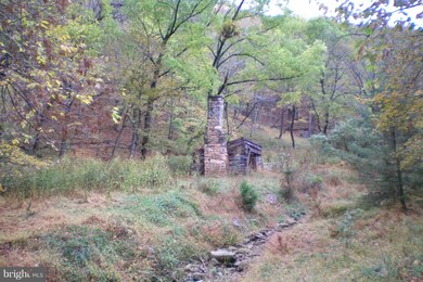 0 Dickenson Mountain Rd unit 220/7 WVPT100100, Franklin, WV 26807 - photo 3