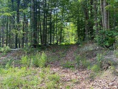 Lot 13 Howes Rd, Buckland, MA 01370 - photo 4
