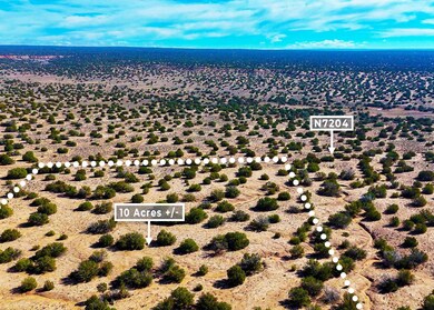 75 County Rd N7204, Saint Johns, AZ 85936 - photo 6